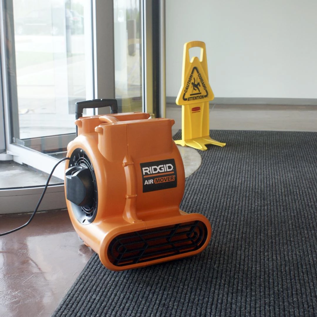 Fans Shop -Fans Shop 356464647