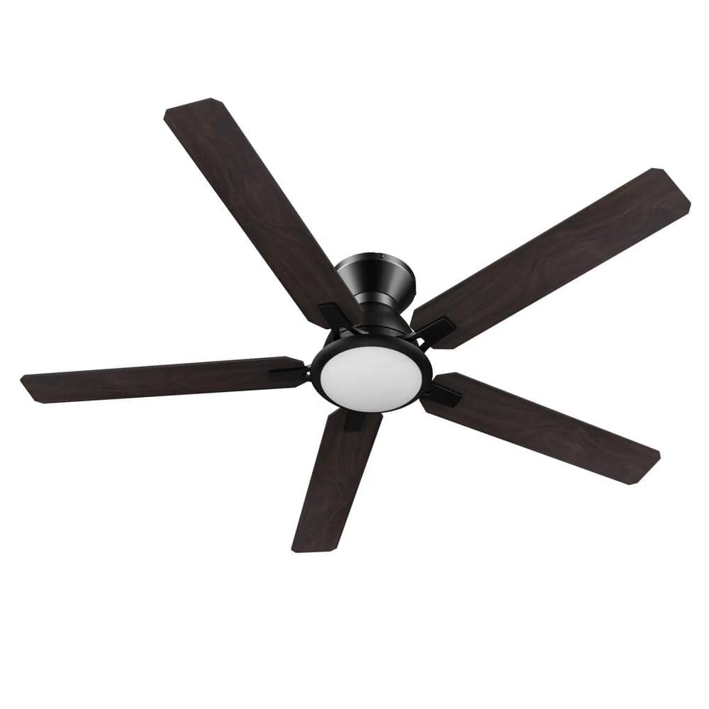 CARRO Essex 52 in. Dimmable LED Indoor/Outdoor Black Smart Ceiling Fan with Light and Remote, Works with Alexa/Google Home 9 CARRO Essex 52 in. Dimmable LED Indoor/Outdoor Black Smart Ceiling Fan with Light and Remote, Works with Alexa/Google Home - Image 9
