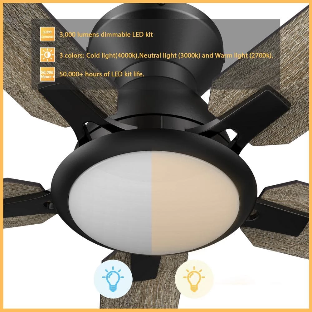 CARRO Essex 52 in. Dimmable LED Indoor/Outdoor Black Smart Ceiling Fan with Light and Remote, Works with Alexa/Google Home 6 CARRO Essex 52 in. Dimmable LED Indoor/Outdoor Black Smart Ceiling Fan with Light and Remote, Works with Alexa/Google Home - Image 6