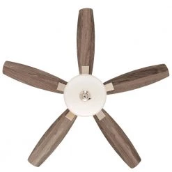 Hampton Bay Menage 52 in. Integrated LED Indoor Low Profile Brushed Nickel Ceiling Fan with Light Kit -Fans Shop brushed nickel hampton bay ceiling fans with lights 14600 c3 1000