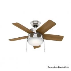 Hunter Tarrant 36 in. LED Indoor Brushed Nickel Ceiling Fan -Fans Shop brushed nickel hunter ceiling fans with lights 59304 40 1000