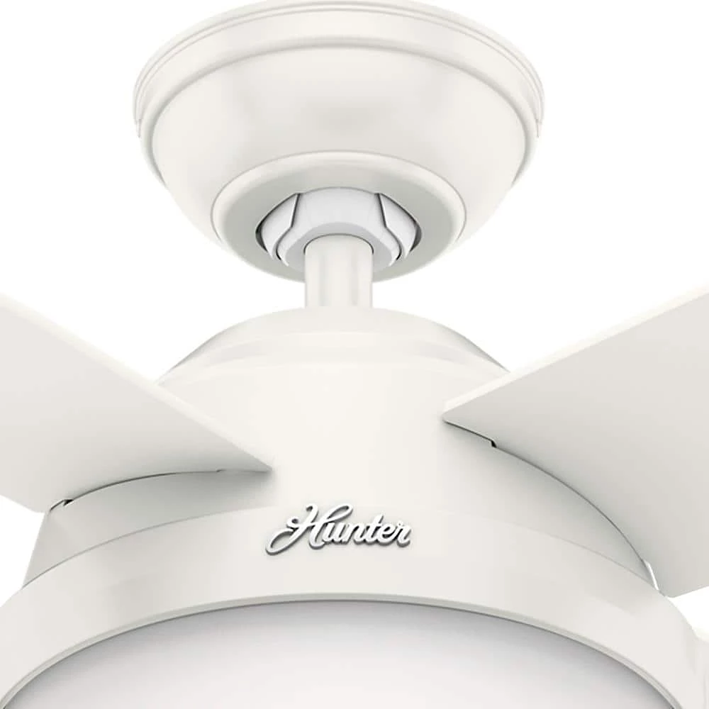 Hunter Dempsey 44 in. LED Indoor Fresh White Ceiling Fan with Universal Remote 11 Hunter Dempsey 44 in. LED Indoor Fresh White Ceiling Fan with Universal Remote - Image 11