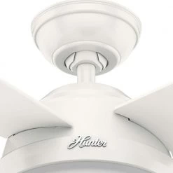 Hunter Dempsey 52 in. LED Indoor/Outdoor Fresh White Ceiling Fan with Light Kit and Remote -Fans Shop fresh white hunter ceiling fans with lights 59252 1d 1000