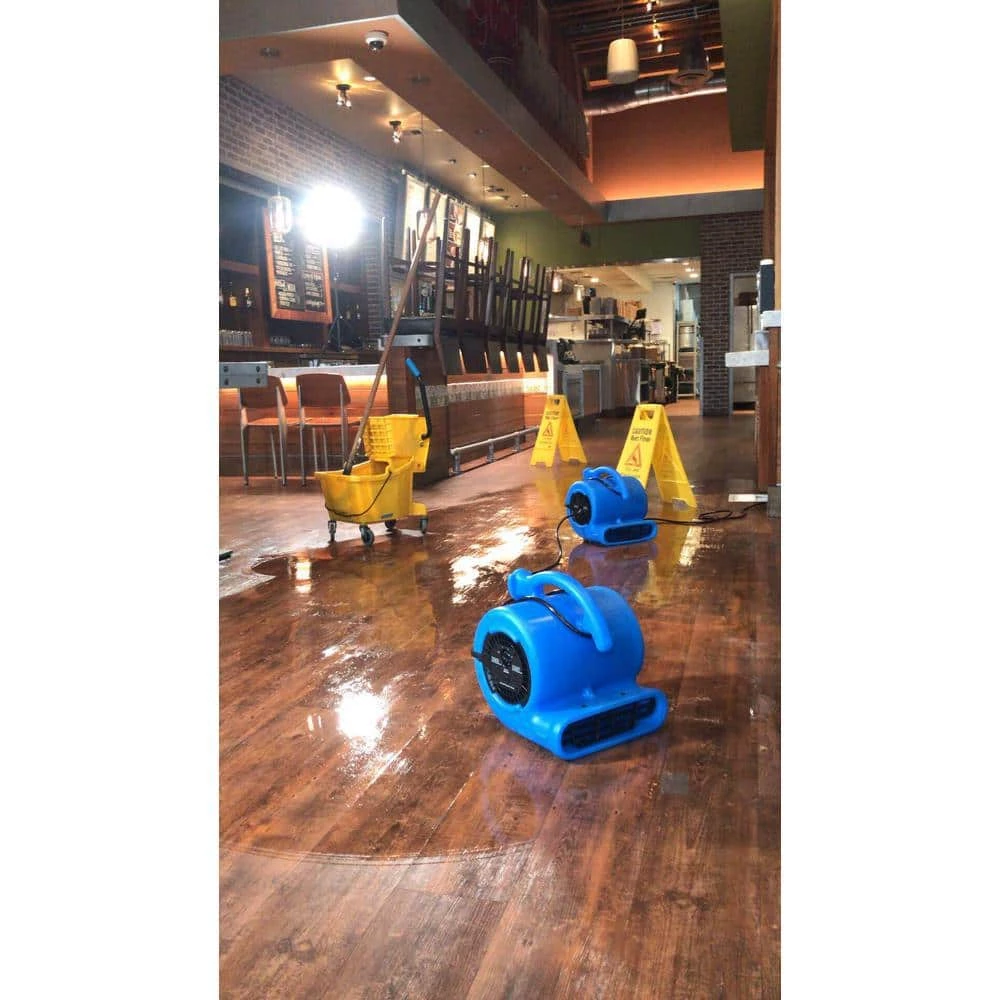 B-Air 1/4 HP Air Mover Blower Fan for Water Damage Restoration Carpet Dryer Floor Home and Plumbing Use in Green 3 B-Air 1/4 HP Air Mover Blower Fan for Water Damage Restoration Carpet Dryer Floor Home and Plumbing Use in Green - Image 3