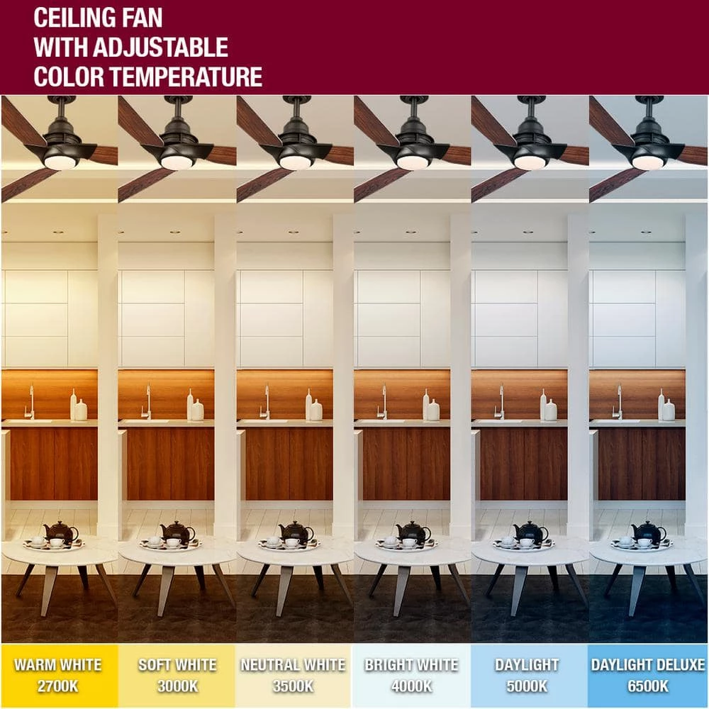 Home Decorators Collection Ester 54 in. White Color Changing Integrated LED Indoor/Outdoor Matte Black Ceiling Fan with Light Kit and Remote 14 Home Decorators Collection Ester 54 in. White Color Changing Integrated LED Indoor/Outdoor Matte Black Ceiling Fan with Light Kit and Remote - Image 14