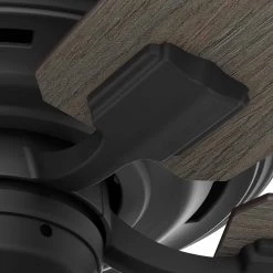 Hunter Bennett 44 in. Indoor Matte Black Ceiling Fan with Light Kit and Remote Control -Fans Shop matte black hunter ceiling fans with lights 50416 44 1000