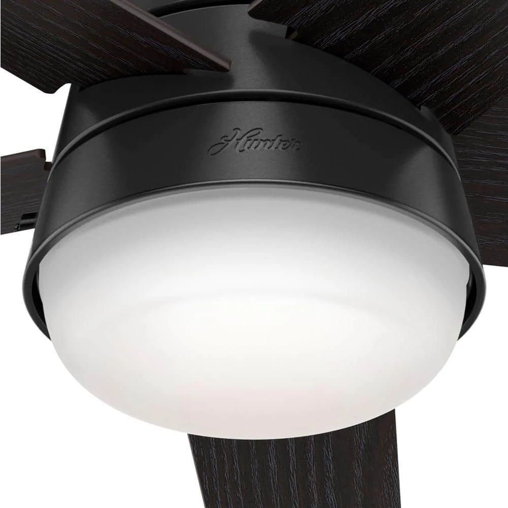 Hunter Tarrant 52 in. LED Indoor/Outdoor Matte Black Ceiling Fan with Light and Remote 3 Hunter Tarrant 52 in. LED Indoor/Outdoor Matte Black Ceiling Fan with Light and Remote - Image 3