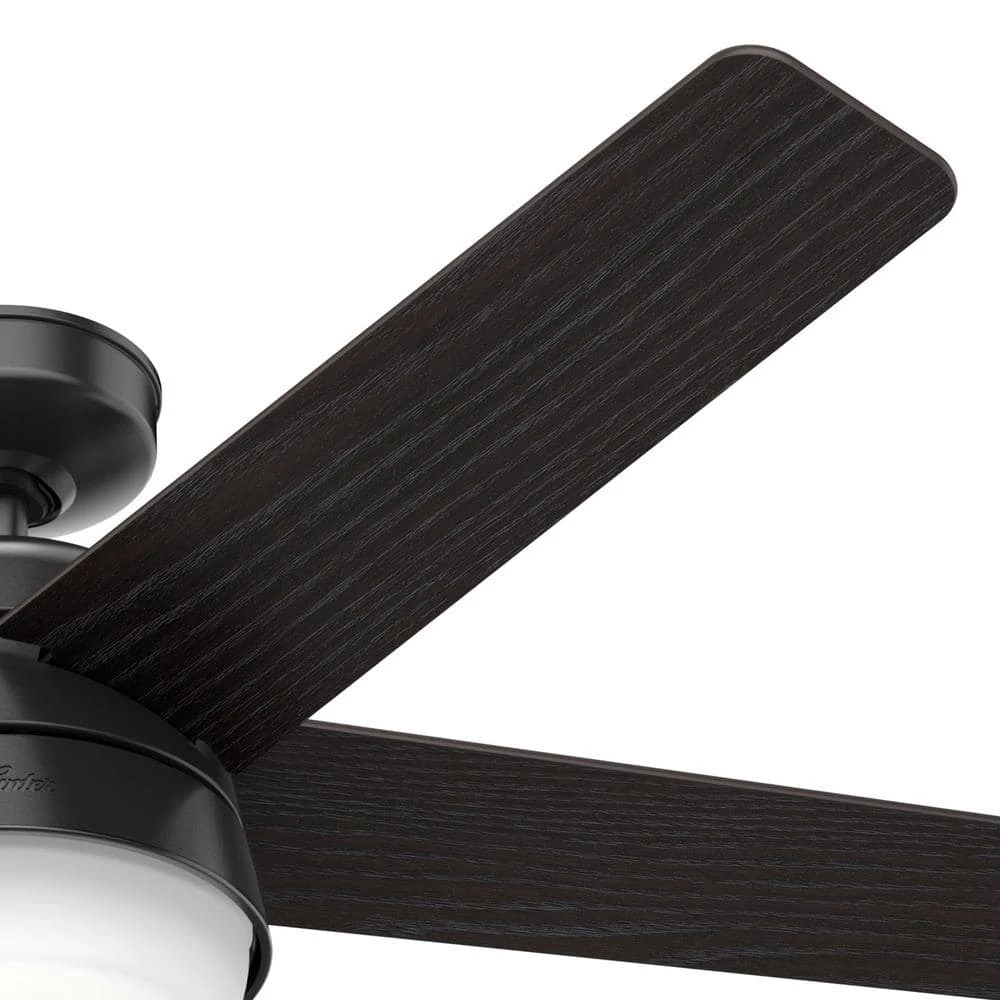 Hunter Tarrant 52 in. LED Indoor/Outdoor Matte Black Ceiling Fan with Light and Remote 11 Hunter Tarrant 52 in. LED Indoor/Outdoor Matte Black Ceiling Fan with Light and Remote - Image 11