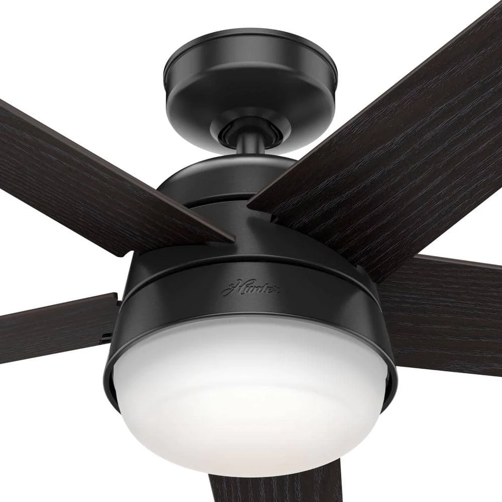 Hunter Tarrant 52 in. LED Indoor/Outdoor Matte Black Ceiling Fan with Light and Remote 14 Hunter Tarrant 52 in. LED Indoor/Outdoor Matte Black Ceiling Fan with Light and Remote - Image 14