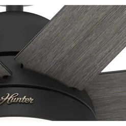 Hunter Phenomenon 70 in. Indoor Matte Black Smart Ceiling Fan with Remote and Light Kit 22 Hunter Phenomenon 70 in. Indoor Matte Black Smart Ceiling Fan with Remote and Light Kit -Fans Shop matte black hunter ceiling fans with lights 51379 1f 1000