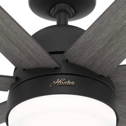 Hunter Phenomenon 70 in. Indoor Matte Black Smart Ceiling Fan with Remote and Light Kit 23 Hunter Phenomenon 70 in. Indoor Matte Black Smart Ceiling Fan with Remote and Light Kit -Fans Shop matte black hunter ceiling fans with lights 51379 44 1000