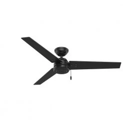 Hunter Cassius 52 in. Indoor/Outdoor Matte Black Ceiling Fan