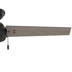 Hunter Cassius 52 in. Indoor/Outdoor Matte Black Ceiling Fan -Fans Shop matte black hunter ceiling fans without lights 59264 77 1000