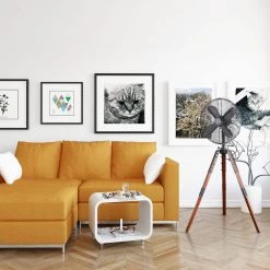 Unbranded Star Tripod Adjustable-Height 16 in. Oscillating Pedestal Fan 8 Unbranded Star Tripod Adjustable-Height 16 in. Oscillating Pedestal Fan -Fans Shop matte black pedestal fans startr16bl 1f 1000