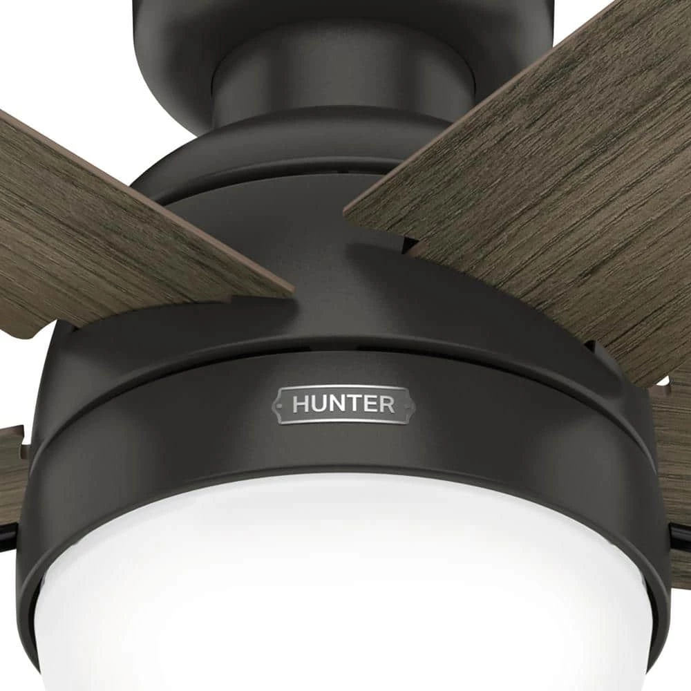 Hunter Avenue 52 in. Indoor Noble Bronze Ceiling Fan With Light Kit 8 Hunter Avenue 52 in. Indoor Noble Bronze Ceiling Fan With Light Kit - Image 8