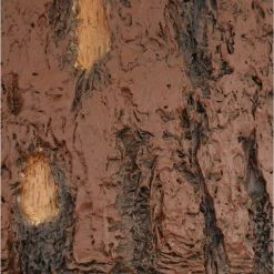 Hampton Bay Lodge 52 in. LED Nutmeg Ceiling Fan with Light and Remote Control 22 Hampton Bay Lodge 52 in. LED Nutmeg Ceiling Fan with Light and Remote Control -Fans Shop nutmeg hampton bay ceiling fans with lights yg098b nm 1f 1000