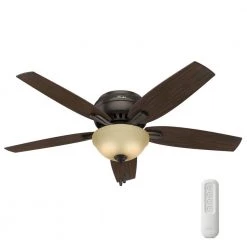 Hunter Newsome 52 in. Indoor Premier Bronze Low-Profile Ceiling Fan With LED Light Kit and Remote