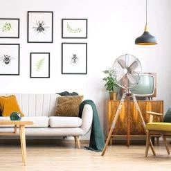 Unbranded Star Tripod Adjustable-Height 16 in. Oscillating Satin Nickel Pedestal Fan -Fans Shop satin nickel pedestal fans startr16sn fa 1000