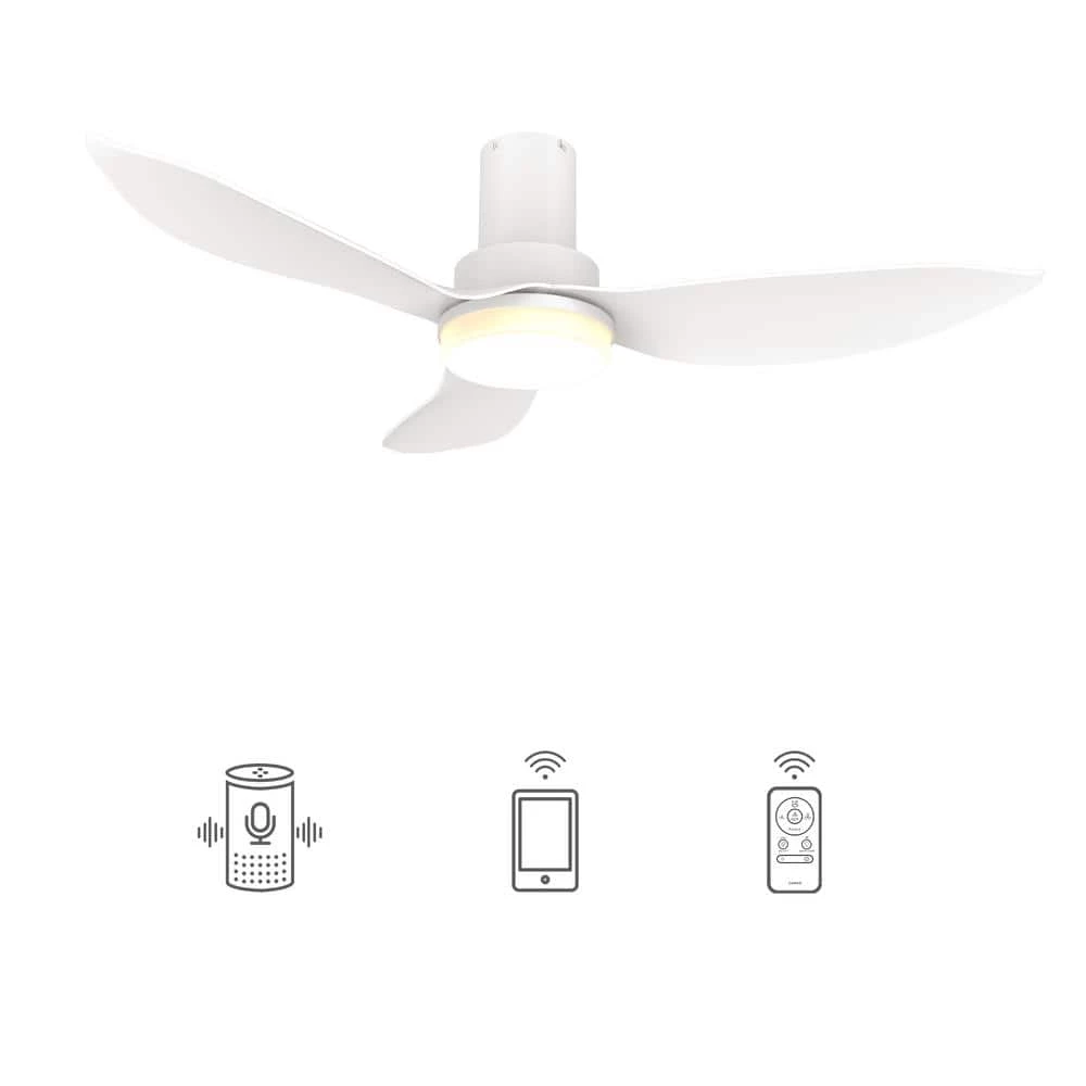CARRO Daisy 36 in. Dimmable LED Indoor/Outdoor White Smart Ceiling Fan with Light and Remote, Works with Alexa/Google Home 1 CARRO Daisy 36 in. Dimmable LED Indoor/Outdoor White Smart Ceiling Fan with Light and Remote, Works with Alexa/Google Home